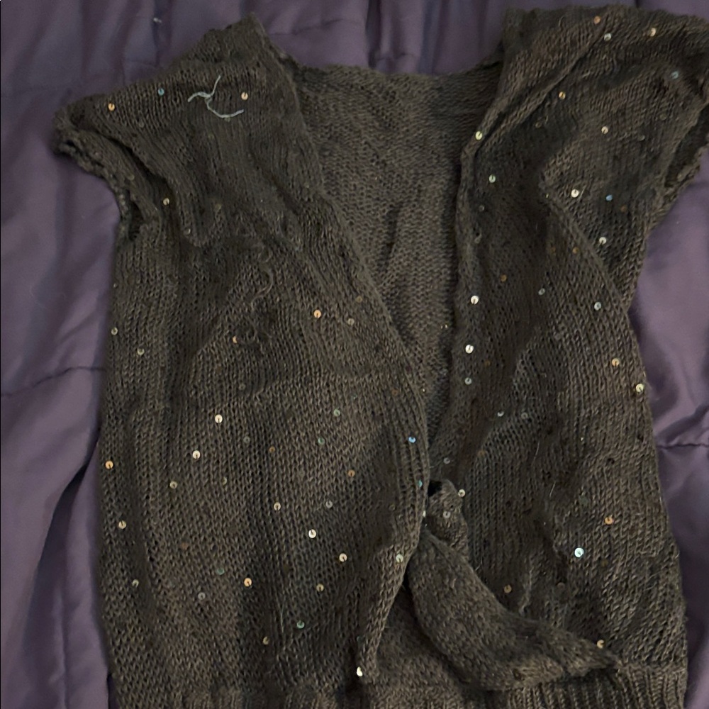 Sequin Embellished Brown Sweater